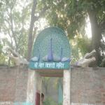 Vraj-Yatra-2014- (2422)